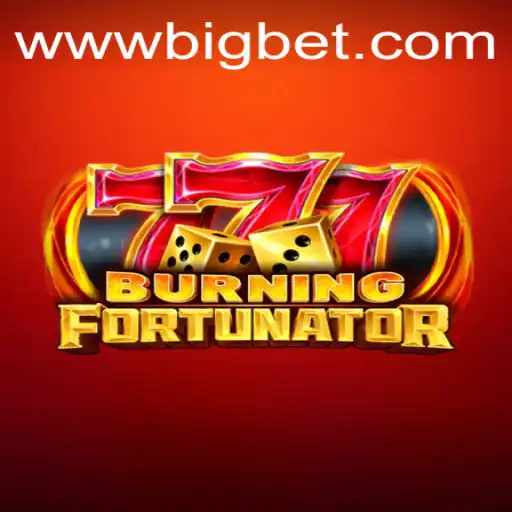 Big bet Casino App