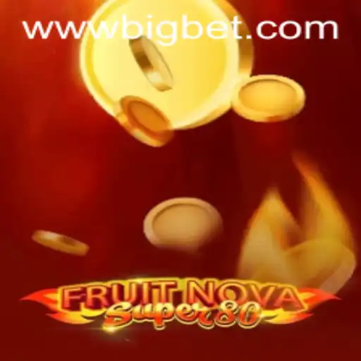Big bet Casino App
